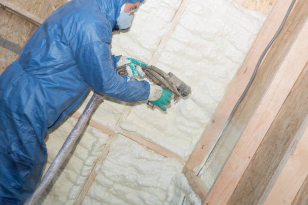 Best Basement Insulation  in Lakeville, MN